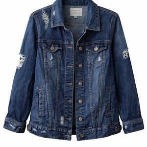 Torrid Blue Distressed Jean Jacket